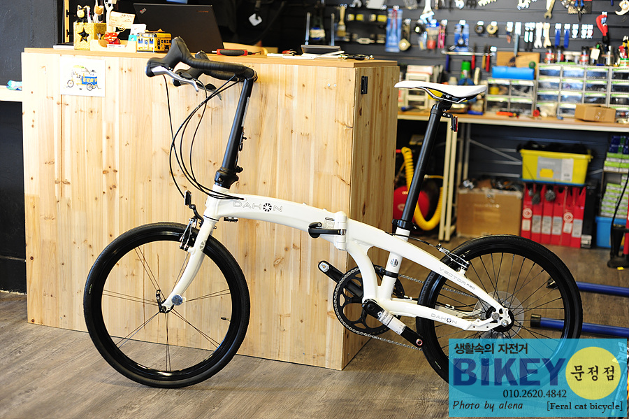 Dahon 2025 vector p30